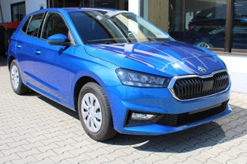 Gebrauchte Skoda Fabia