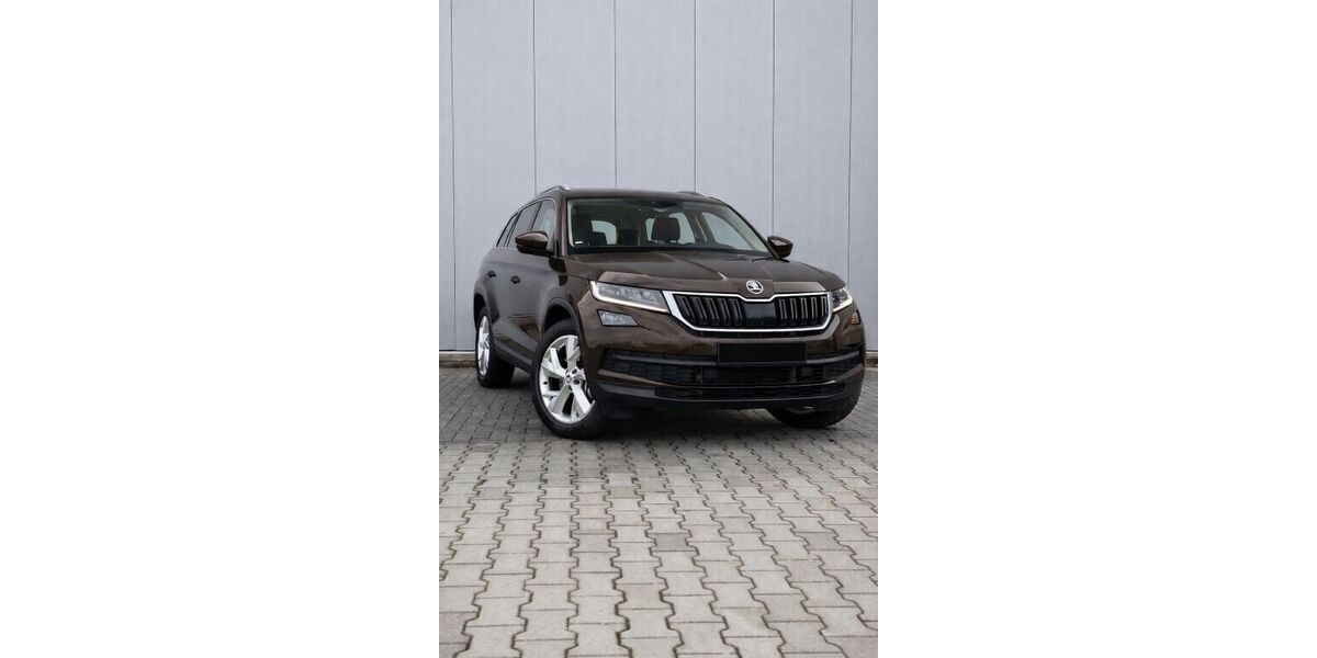 Skoda Kodiaq 178.000 km 19.000 &euro; Traunreut 83301