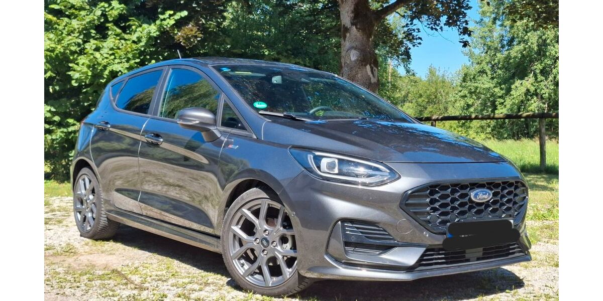 Ford Fiesta 11.000 km 17.400 &euro; Engelsberg 84549