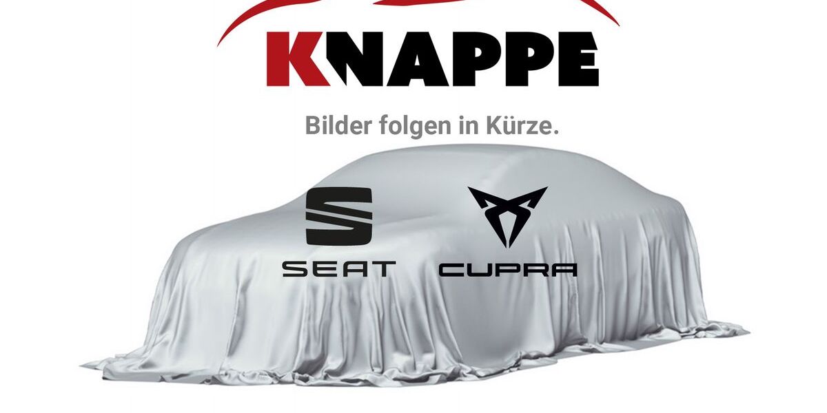 Cupra Terramar 17.490 km 35.150 &euro; Traunstein 83278